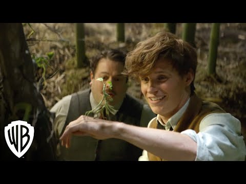 Fantastic Beasts and Where to Find Them | 4K Trailer | Warner Bros. Entertainment