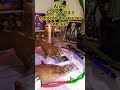 ÁRIES COMO ESTÁ O CORAÇÃO DO A SER DE LUZ