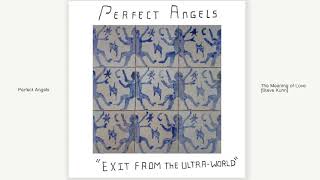 Perfect Angels - The Meaning of Love [Steve Kuhn]