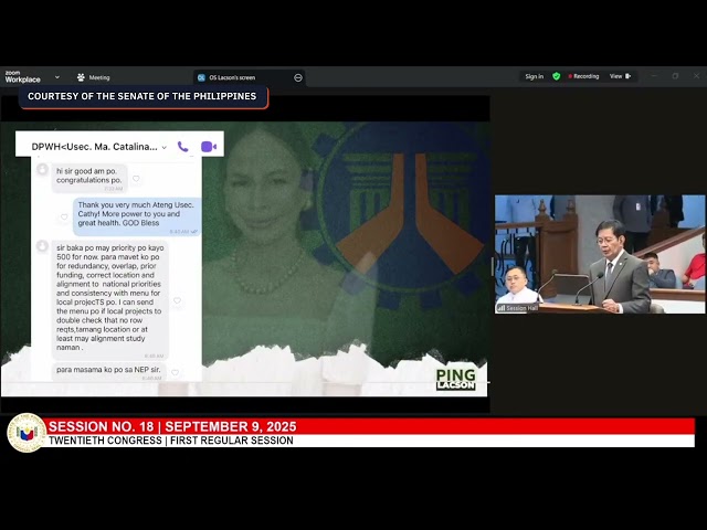 DWPH undersecretary Cabral resigns amid budget insertion allegations