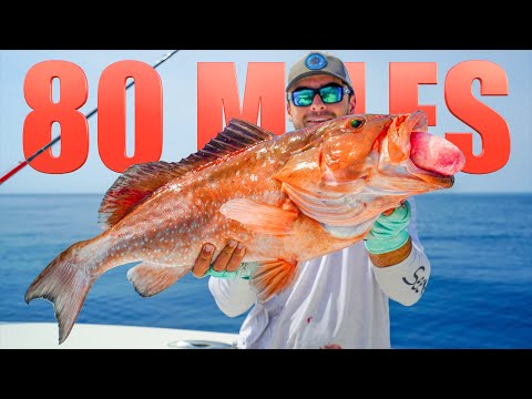 Catching HUGE Fish 80 Miles Offshore! (Panama City)