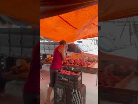 Feira de Juazeirinho - PB - 21.10.25.