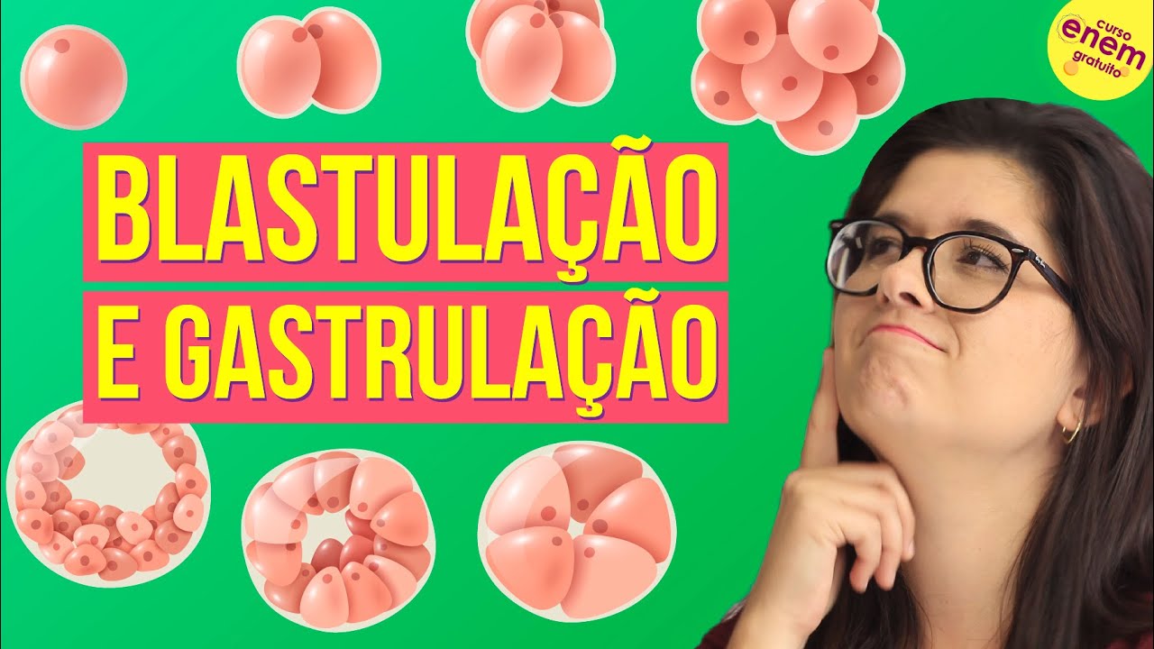 EMBRIOLOGIA: BLASTULAÇÃO E GASTRULAÇÃO | Resumo de Biologia para o Enem