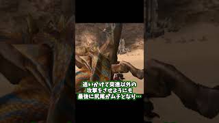 最強から最弱になった悲しきモンスター"3rdティガレックス"【MHP3】