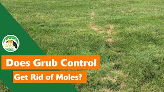 Does Grub Control Get Rid of Moles?