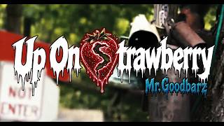 Mr.Goodbarz