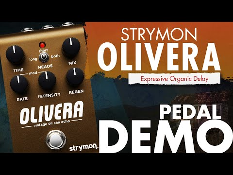Strymon Olivera Vintage Oil Can Echo 2025 - Present - Olive image 6