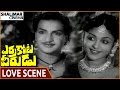 Errakota Veerudu Movie NTR Saroja Devi Best Love Scene NTR Savitri Shalimarcinema