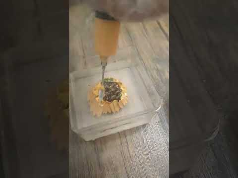 HOW TO MAKE SUNFLOWER FOR 3D JELLY ART CAKE