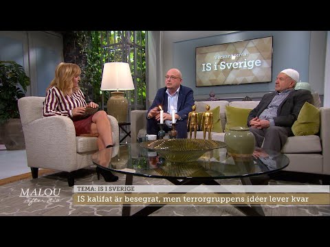 Imamen Awad Olwan: "Man försöker destabilisera Europa" - Malou Efter tio (TV4)