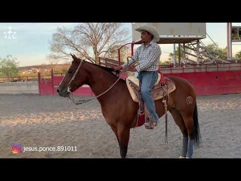 E5P5 - Nuevos Talentos En Cala - Francisco González, Rubén González y Jesús Ponce