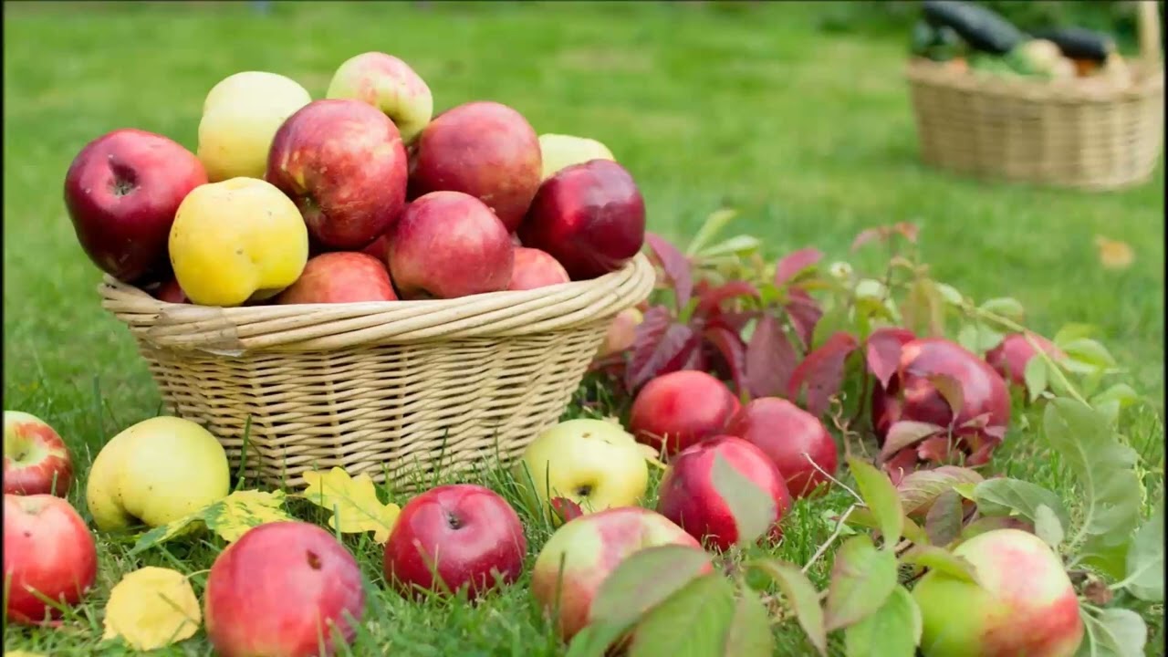 デュエット／ Ｄｕｅｔ