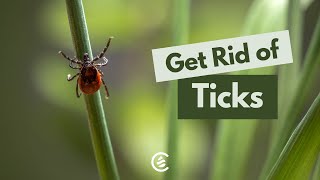 How to Get Rid of Ticks in Your Yard | Cedarcide