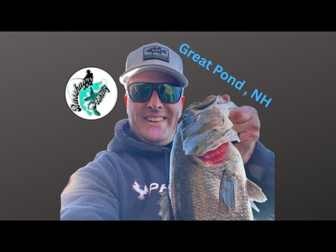 Fall Bass fishing on Great Pond in New Hampshire