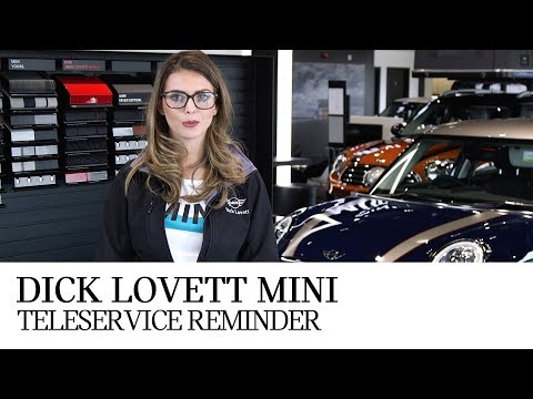 Dick Lovett MINI - Teleservices