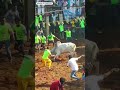 Karur Vellia Jallikattu Trendingshorts Trending Komban Karurvellia Komban
