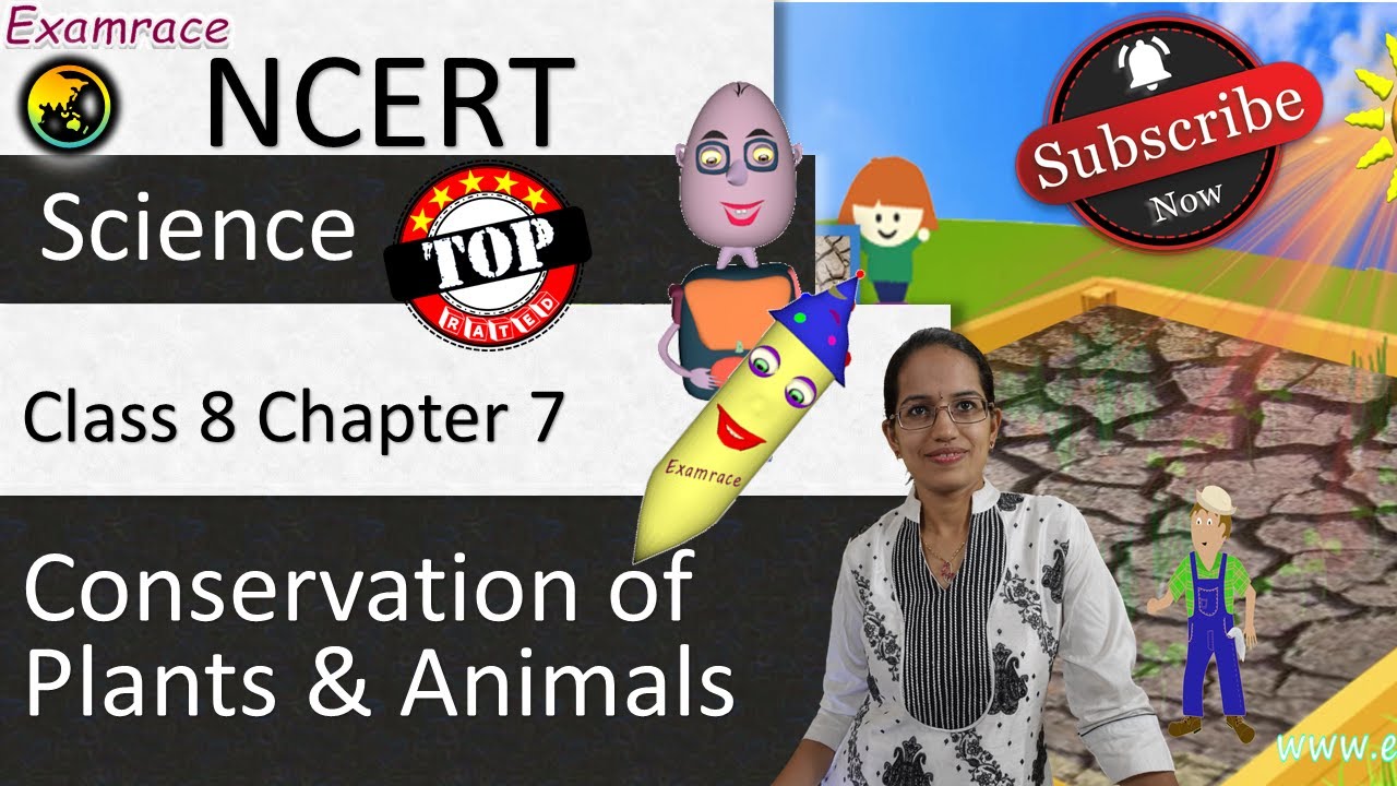 NCERT Class 8 Science Chapter 7: Conservation of Plants and Animals (NSO/NSTSE) | English