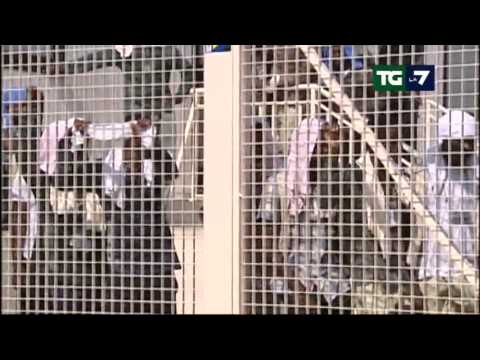 Edizione delle 20.00 del 30/04/2011