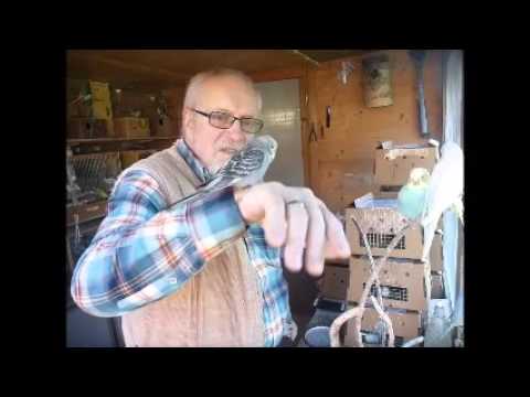 2015 12 09 In the Box