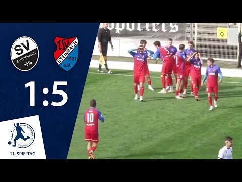 Rang 2 gefestigt | SV Sandhausen - TSV Steinbach Haiger | 11. Spieltag RLSW