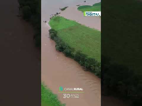 Rio Taquari transborda em Roca Sales (RS); acumulado de chuva chega a quase 300 mm em algumas cidade