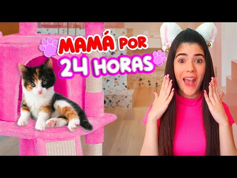 ADOPTÉ a un GATITO BEBÉ y fui su mamá por 24 HORAS😻😱  | Ani Cat😻