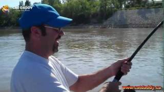 preview picture of video 'CatDaddy CatFish Guide Service - Kitty Slap at Lockport, Red River Manitoba Canada Cats, Catfish'