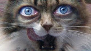 Roadgeek - Towards the Sun