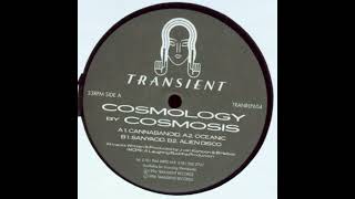 Cosmosis - Oceanic [TRANRLP604]