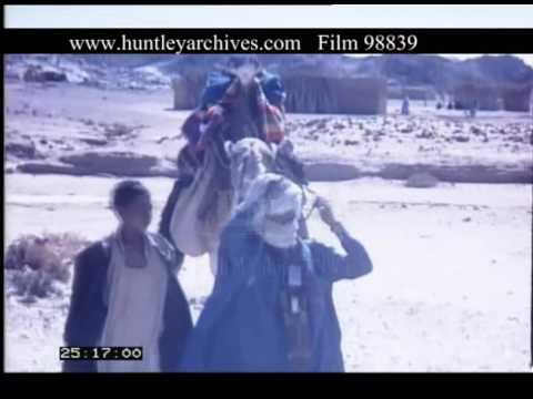 Tuareg Settlement Algeria, 1970s - Film 98839