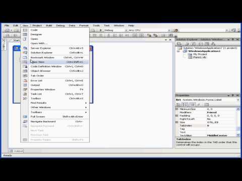 Visual Basic Video Tutorial - Volume 1- Lesson 14: Tab Order
