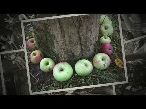 'WomBelt: Weaving Women back into Matter'  Belgium 2017