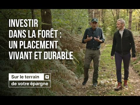 Sur le terrain de votre épargne – Épisode 2 : la forêt, un placement stratégique ?