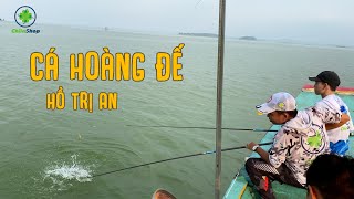 CÂU CÁ HOÀNG ĐẾ HỒ TRỊ AN | CHUYẾN ĐI CÂU NHỚ ĐỜI