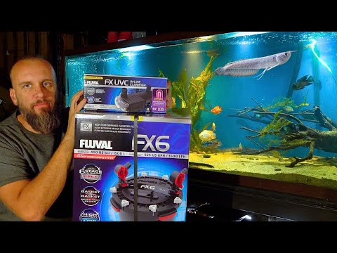 The King of Canister Filters - FX6 with UV Clarifier