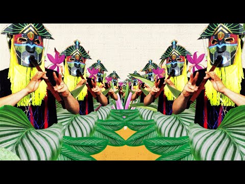 AMARU TRIBE - Se Prendió / The Party Has Started (Official Video)