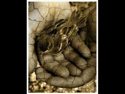 Sahir ft Şahname   Ruhuna zulmet