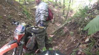 preview picture of video 'Enduro Hunedoara (A beautiful day in the forest)'