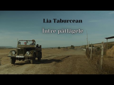 Lia Taburcean - Între pătlăgele