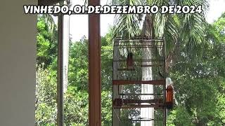 CAMPEONATO ESTADUAL FEBRAPS 2024 - DECIMA ETAPA - VINHEDO II - SP