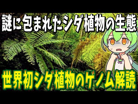 ダチョウのシダ 植物