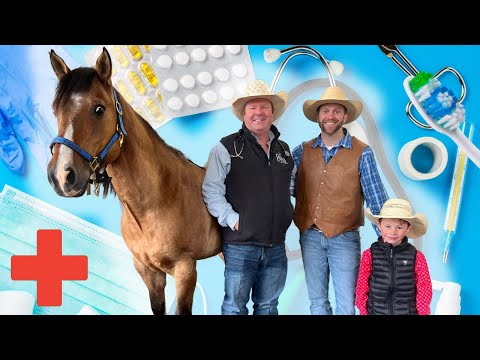Three people in cowboy hats stand with a brown horse against a blue medical collage (pills, stethoscope, thermometer).