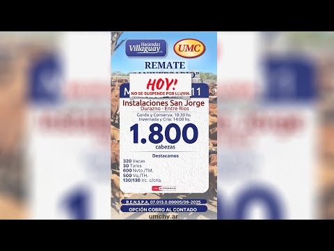 Hoy Remate San Jorge - 1.800 cabezas