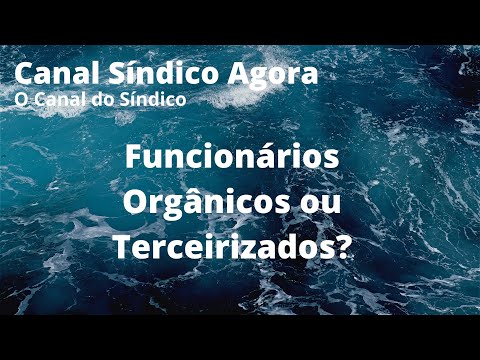 Funcionários Orgânicos ou Terceirizados?