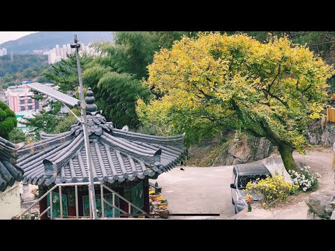 (4K) Choeupcheon-ro 77beonga-gil, Busanjin-gu, Busan 불광사