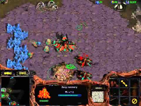StarCraft Brood War [FPVOD] Dimaga vs Galaxy Dream ZvP