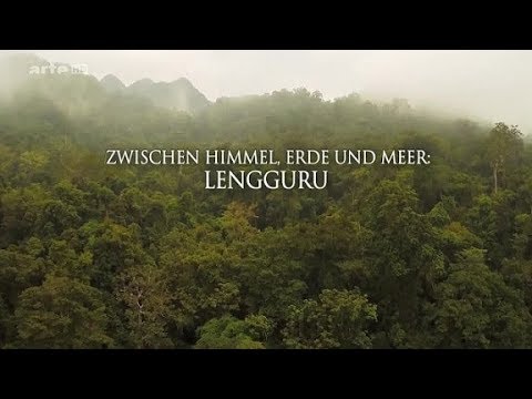 Zwischen Himmel, Erde und Meer - Lengguru - German