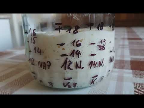 Lievito madre kovász állapota a 17. napon. 20190215 101749