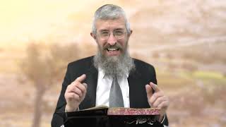 מסכת מנחות דף קי - 8 דקות של לומדות ועמקות בדרך הלימוד הישיבתית [Menachot 110]