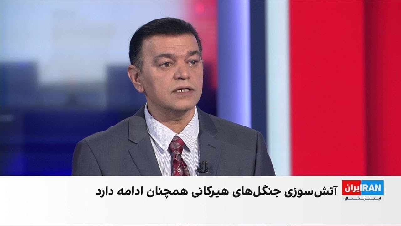 ادامه حریق در جنگل‌های هیرکانی و هشدار کارشناسان درباره خسارت جبران‌ناپذیر